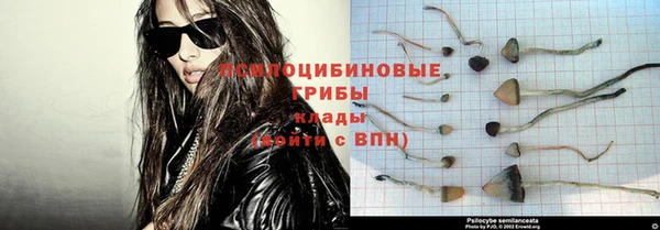MESCALINE Нефтекумск