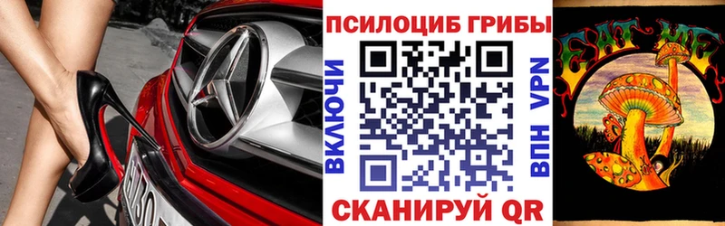 Галлюциногенные грибы Psilocybe Санкт-Петербург